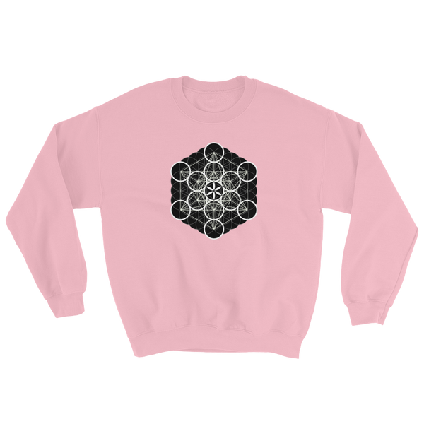 Flower Fruit Cube Sweatshirt